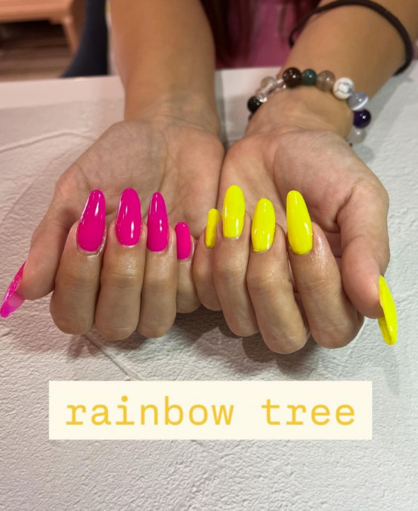 RAINBOW TREE